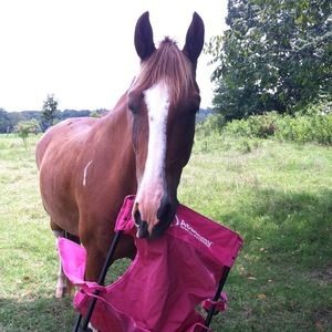 Meet your Posher, Hannah